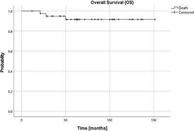 Segmental chromosomal aberrations as the poor prognostic factor in children over 18 months with stage 3 neuroblastoma without MYCN amplification
